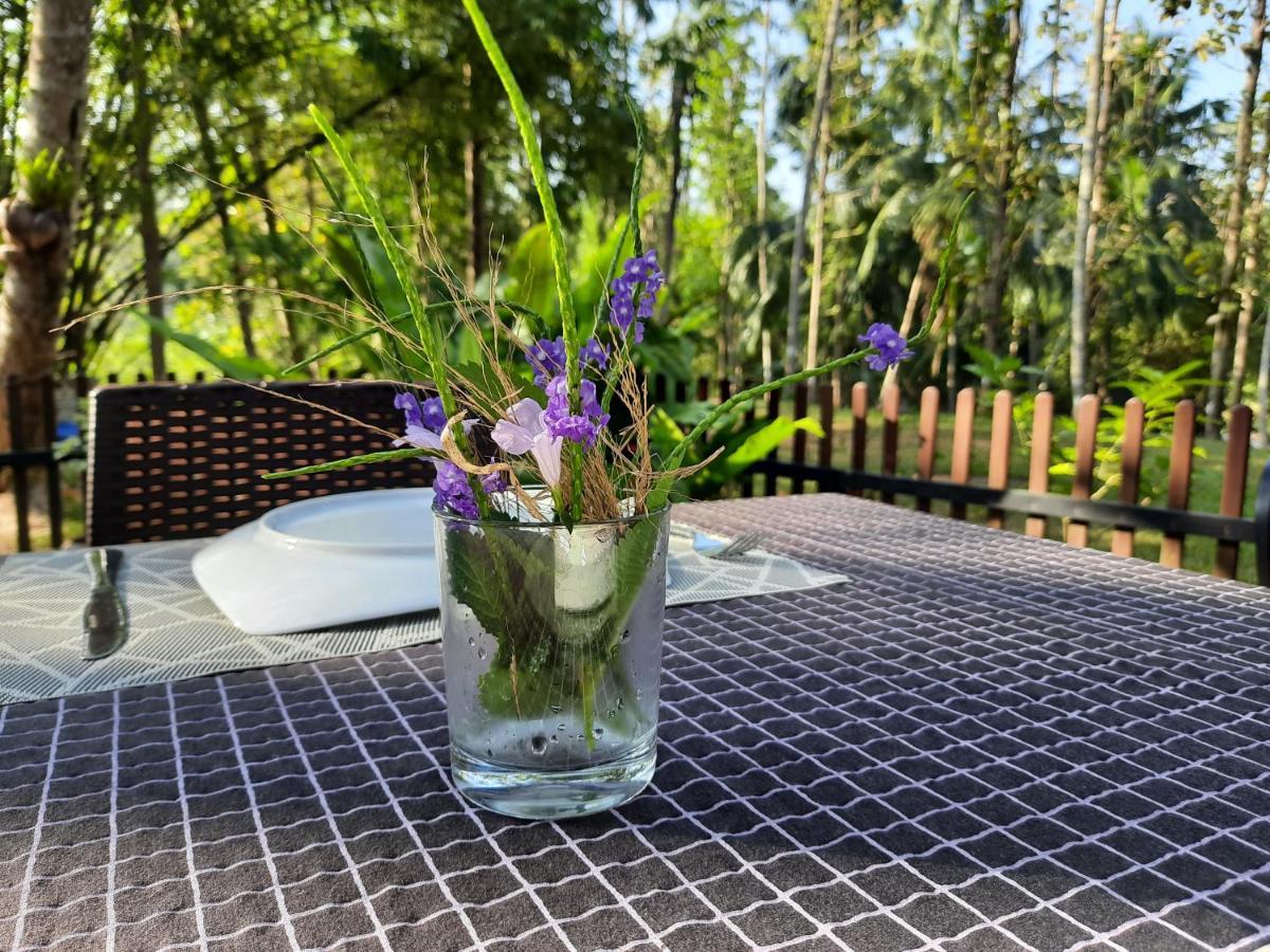 Nature'S Hideout Holiday Home Mirigama Екстер'єр фото