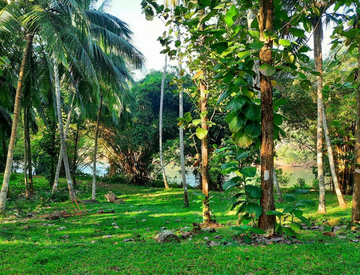 Nature'S Hideout Holiday Home Mirigama Екстер'єр фото