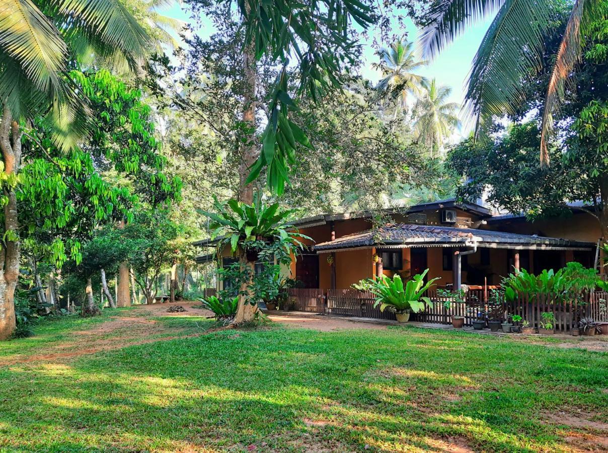 Nature'S Hideout Holiday Home Mirigama Екстер'єр фото