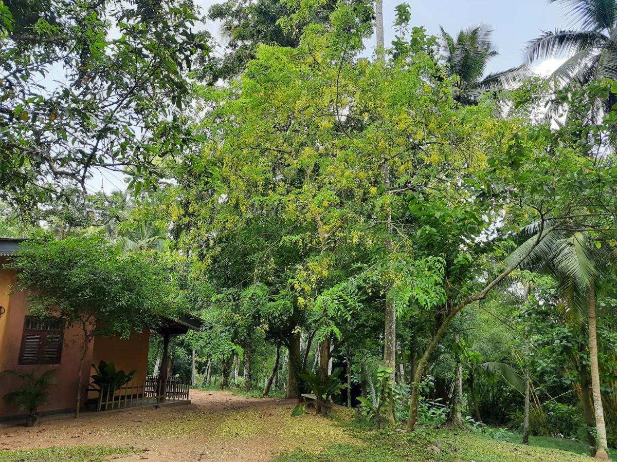 Nature'S Hideout Holiday Home Mirigama Екстер'єр фото