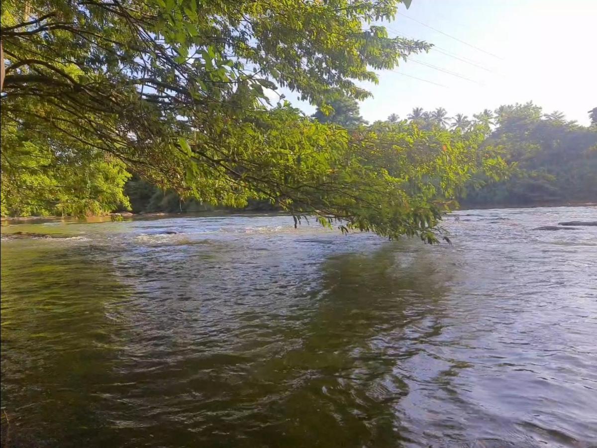 Nature'S Hideout Holiday Home Mirigama Екстер'єр фото