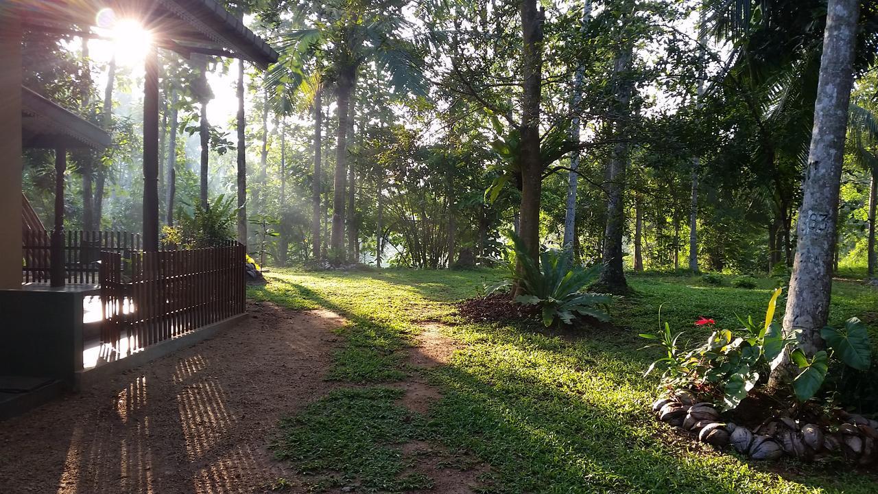 Nature'S Hideout Holiday Home Mirigama Екстер'єр фото